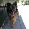 Piloto - Image 4