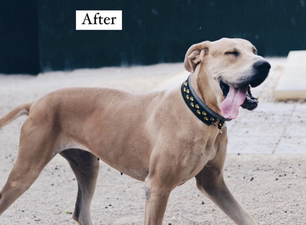 Art Before After
