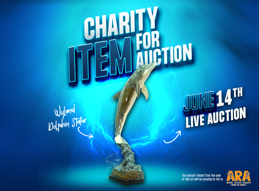 Charity Auction Dolphin Bronze by Wyland