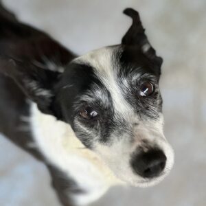 Lupita
